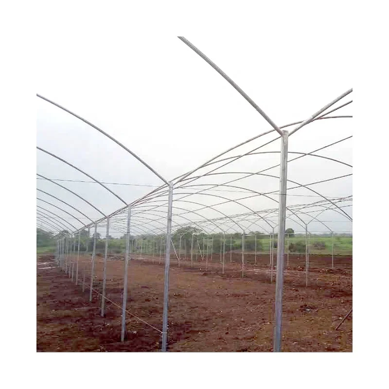 Сельскохозяйственные теплицы AGROTIME многопролетная теплица с холодной рамой строительный зеленый дом на