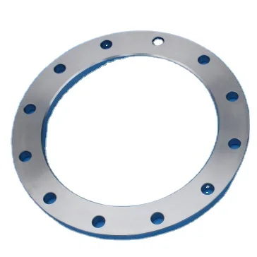 Backing ring special type for PP/PE/HDPE pipe JIS standard customization support carbon steel Forging flange