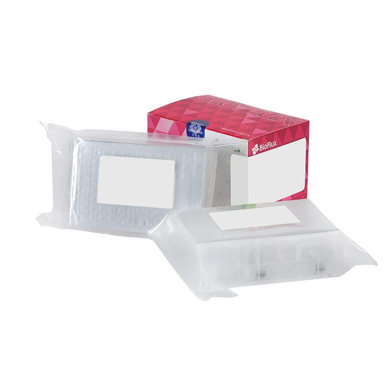 Bioer BSC86 Magabio Plus Nucleic Acid Extraction Kit DNA/RNA Extraction Purification