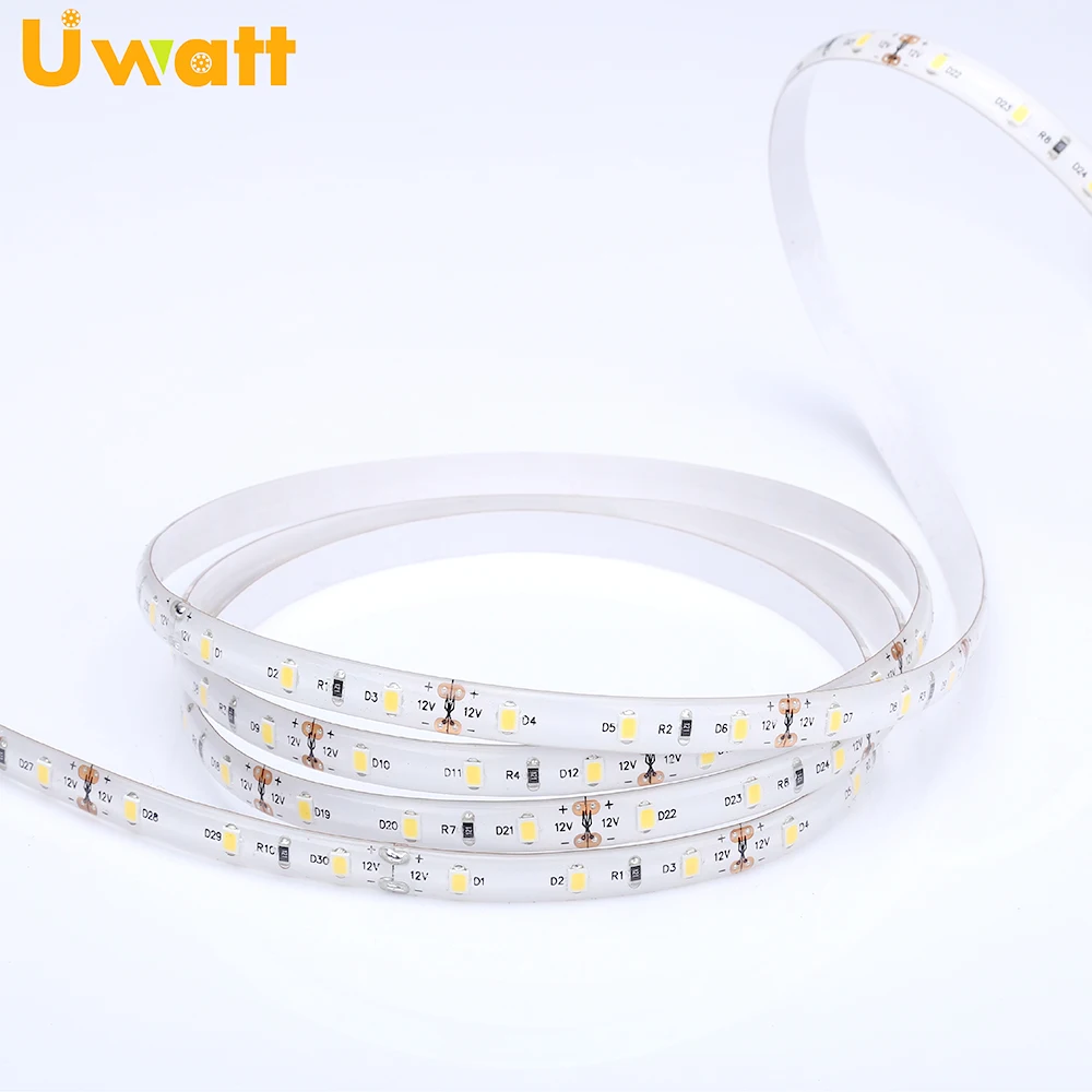 Tiras Luz de tira Bande de LED DC12V 60 LED/m 2835 IP65 LED Flexible Strip With Landscape