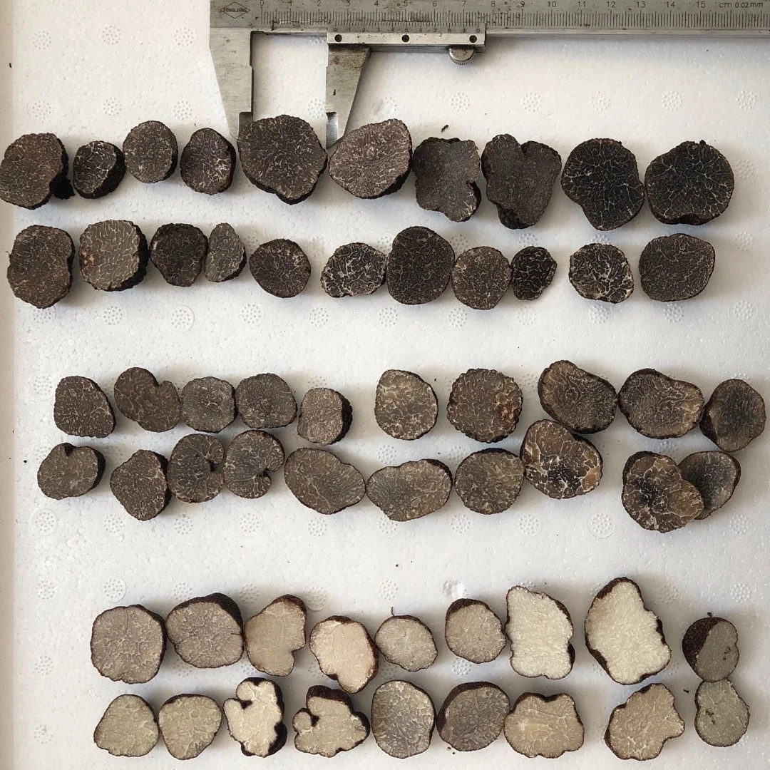 Рыночная цена для свежего клубня черный трюфель Uncinatum продажи трюфельный