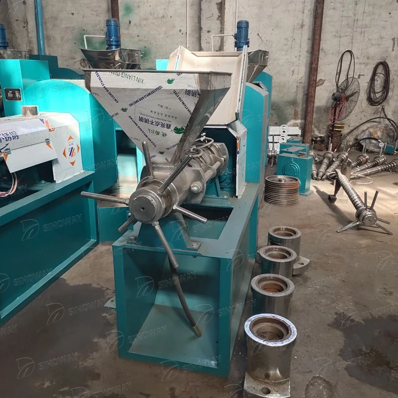 Mini 6yl 100 350kg/h palm thresher sunflower mustard peanut oil mill cold press oil machine for sale