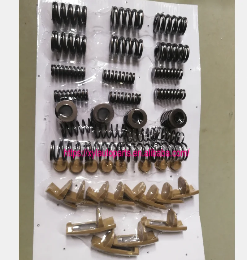 6DCT450 MPS6 DCT450 Clutch shock absorber and spring repair kit Clutch repair parts Spring & Clip Kit fit volvo