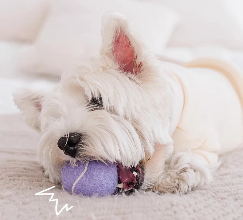 Wholesale Rubber Pet Tennis Balls Interactive Dog Toy Ball Suppliers Custom logo Eco-Friendly Throwing Dog Chew Toys