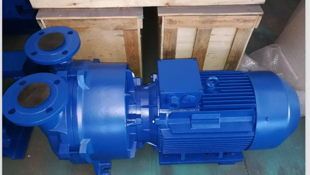2BV2 2BV5 2BV6 Single Stage Siemens NASH Elmo Liquid Water Ring Vacuum Pump with Stainless Steel Impeller