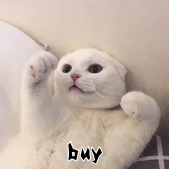 Натуральный кошачий наполнитель