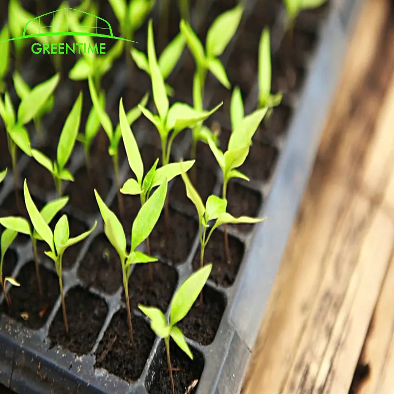 200 cells plastic  Plug seedlings pot dish for vegetable and flower in greenhouse