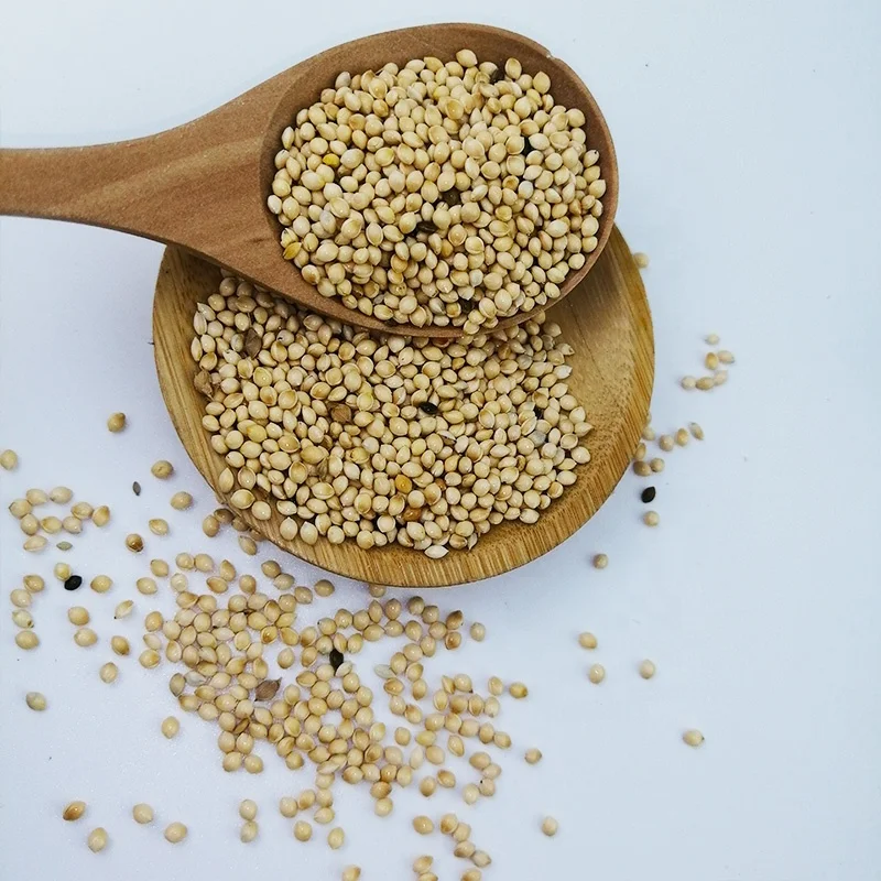 Good Quality Factory Wholesale Food Natural Birds Eat White Broom Corn Millet