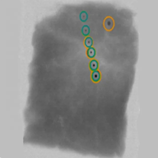 Промышленный рентгеновский аппарат для металлоискателя посторонних продуктов и рентгеновский аппарат для продуктов питания
