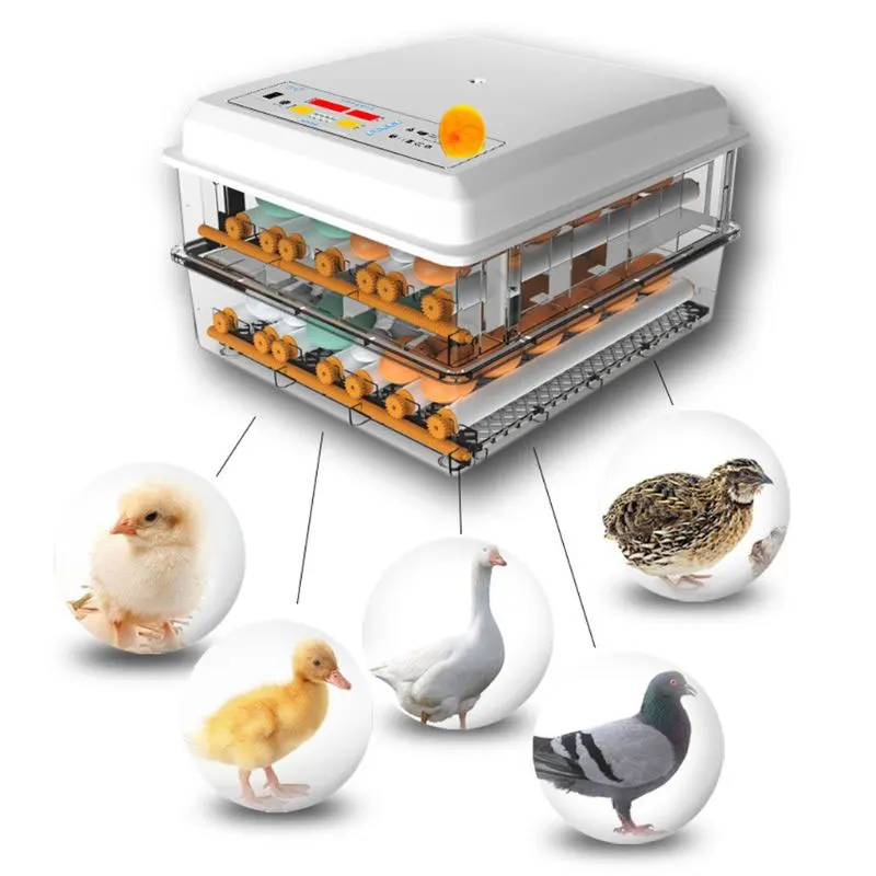 New Upgrade Dc Ac Power 36 48 64 128 Eggs Hatcher  Automatic Hatching Machine Chicken Eggs Incubators For Farming