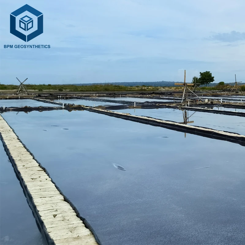High Density Polyethylene Geomembrane Pond Liner for Salt Industry in South Africa