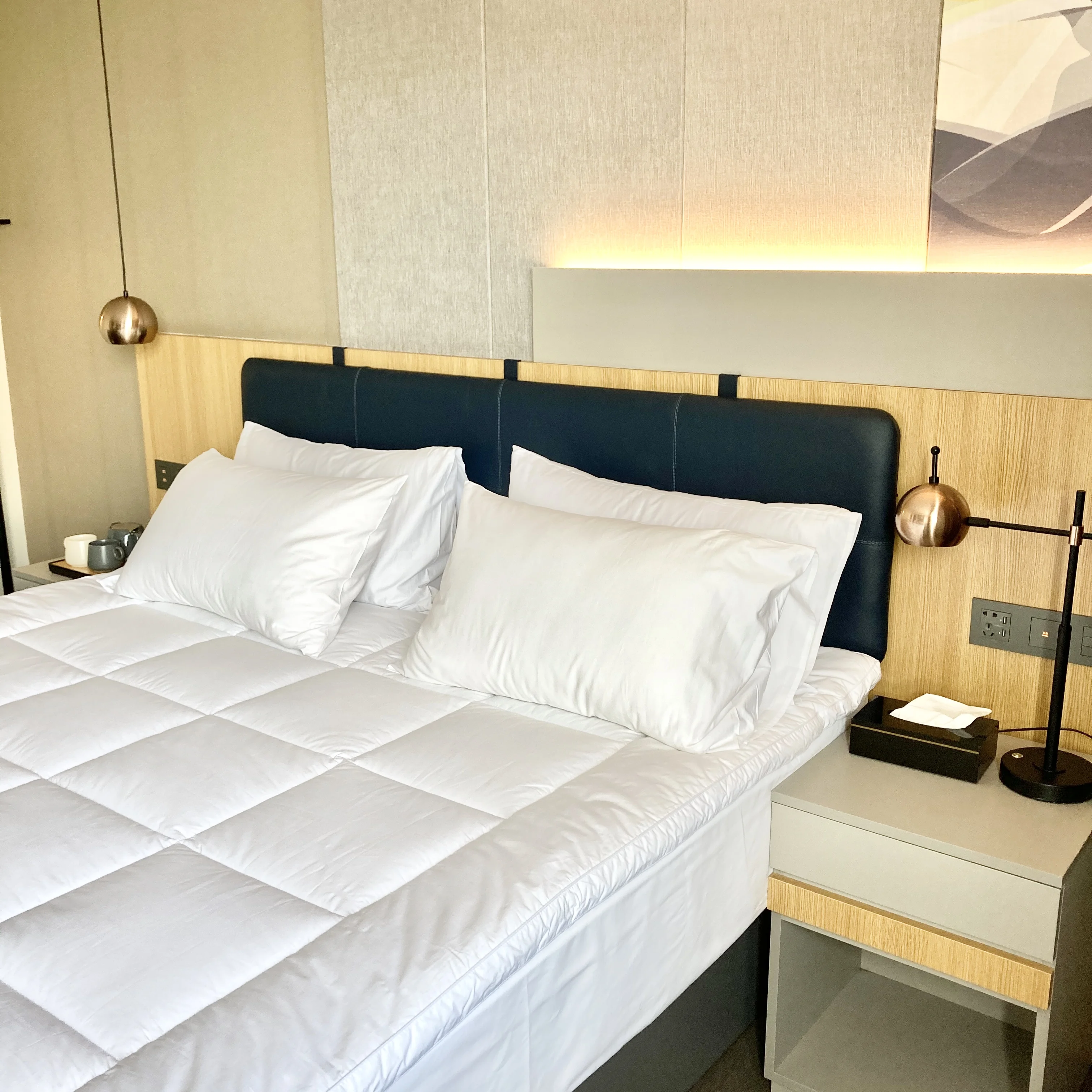 2021 Custom King/Queen/Full Size Thick Mattress Pad Microfiber Polyester Fill Pillow Top Bed Mattress Topper