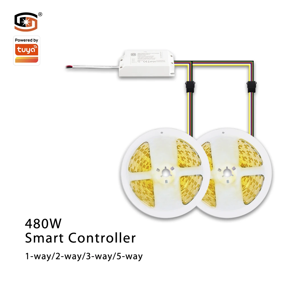 Smart Home CCT Sigmesh Led Strip Light High Quality Led Rgb Controller DC12-24V Scene Switch Romantic Atmosphere