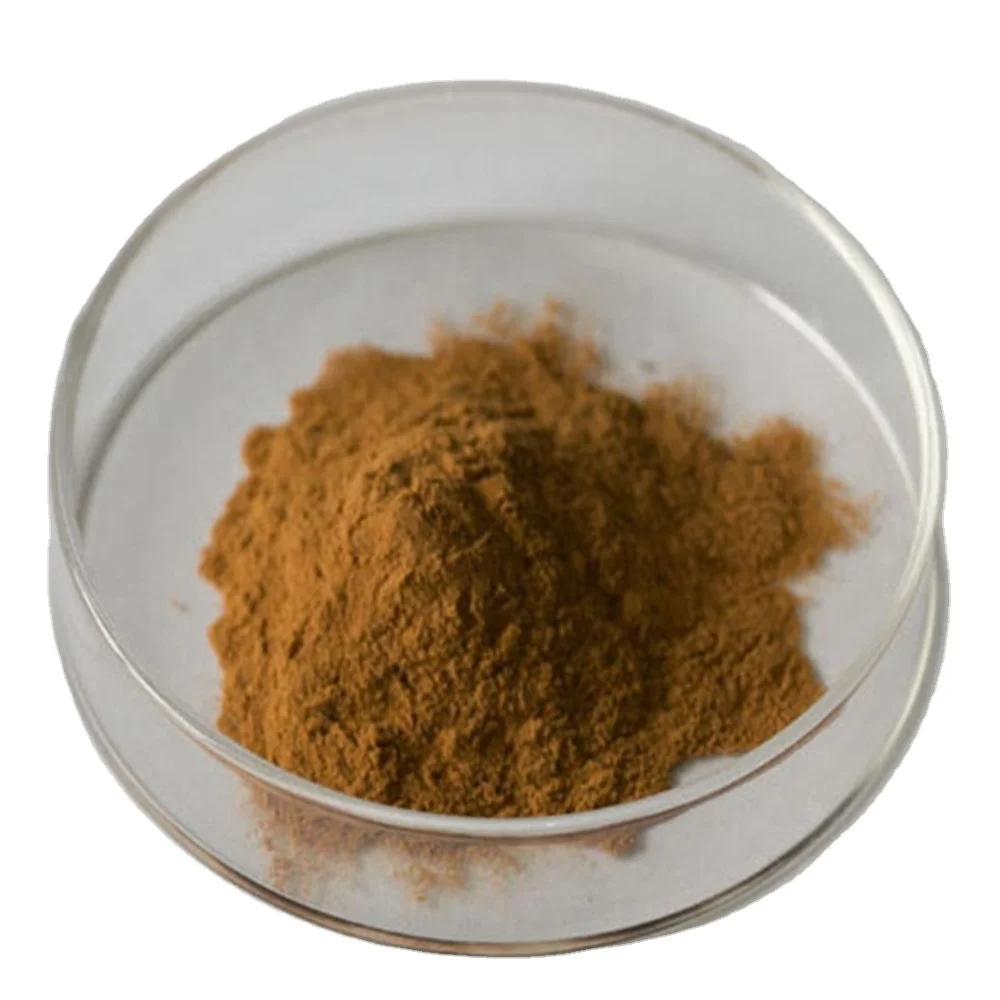 High Quality 1% Cistanche Tubulosa Extract 16% Acteoside CAS 61276-17-3