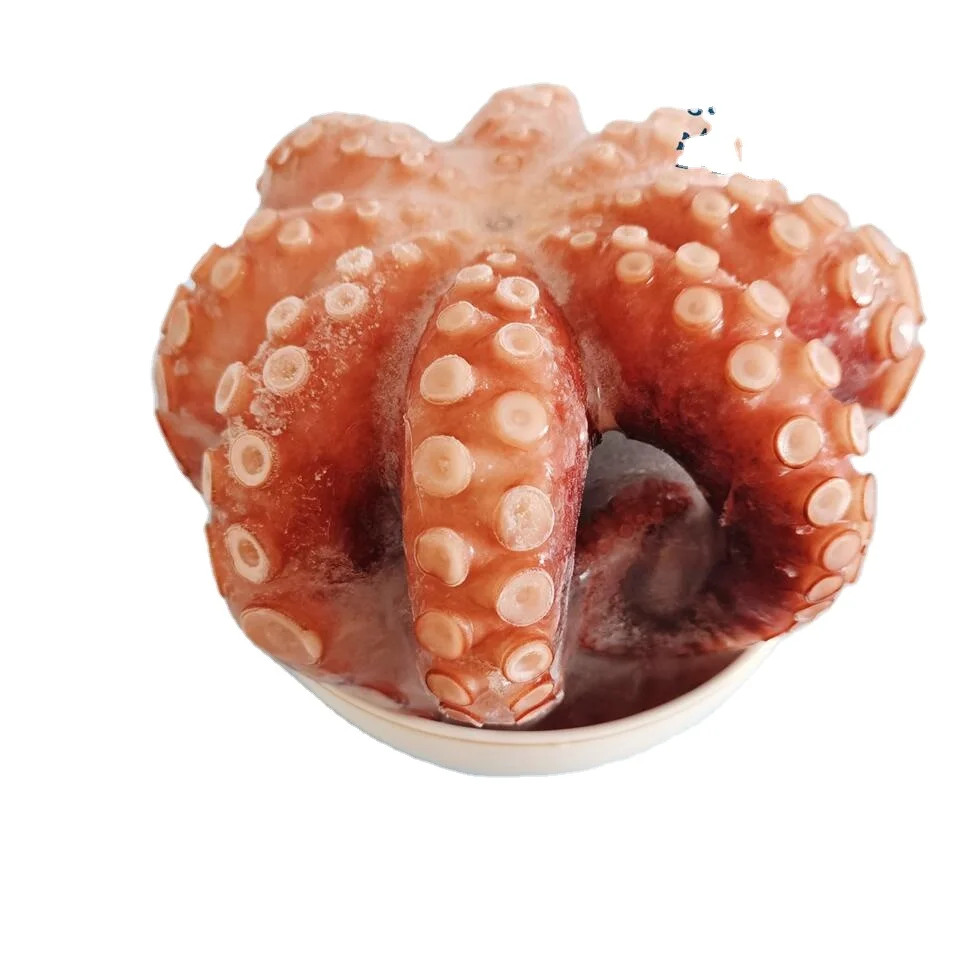 Производители оптом Осьминог vulgaris замороженный Осьминог вкусный Осьминог без приправ