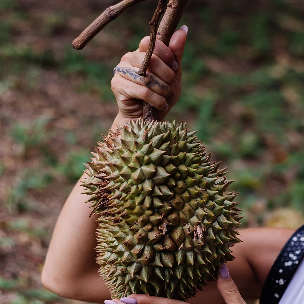  Хрустящие чипсы MISS CHAYA дуриан с солью приятные вкусные приправы из Таиланда оригинальные Лидер продаж закуски премиум-класса