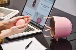 2022 new desktop heater hand warmer gift wholesale small creative mini home heater electric heating fan