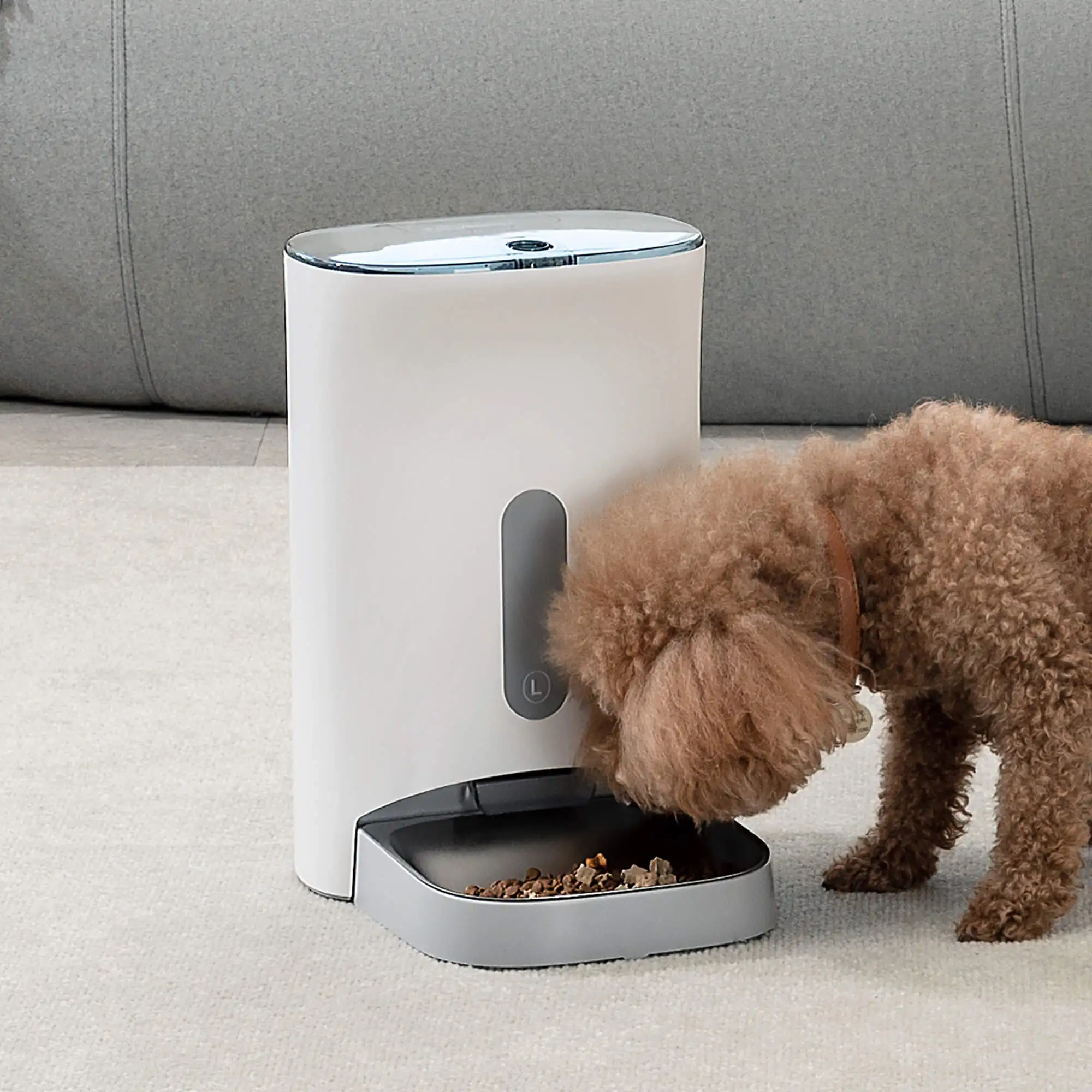 Petwant 4.5L Automatic Pet Feeder Anti Jamming Grain 4 Meals Timed Dog Cat Food Dispenser With Stainless Steel Bowls