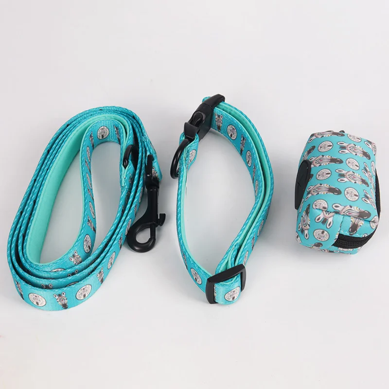 aicai  blue set (5).jpg