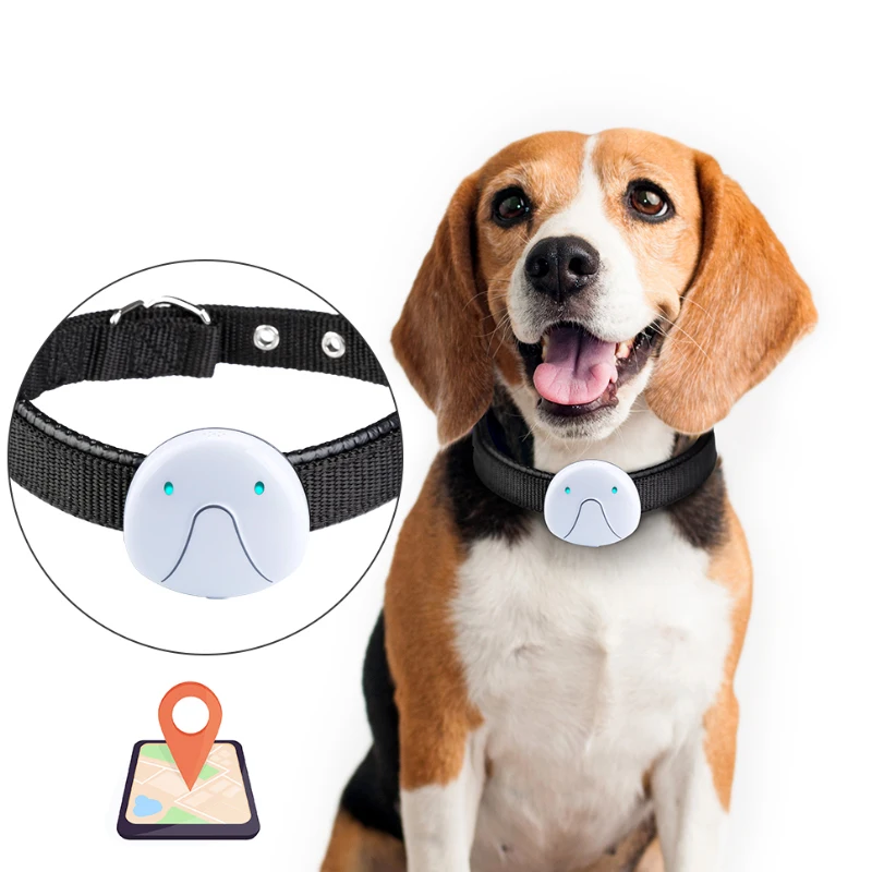 Solar Power Gps Tracker For Pets Lte Gps Dog Tracker Diy Pet Dog Collars Gps Tracker