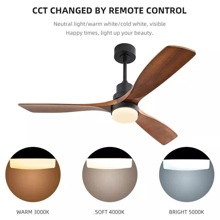 High Quality Ceiling Fan 220v 52 Inch Decorative Indoor Ceiling Fan With Light Remote Control