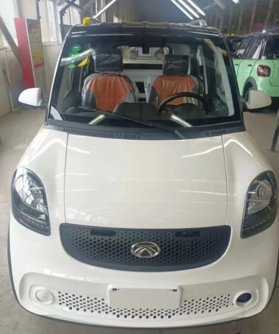 H6 electric car/mini fully electric car with Electric PTC Heater