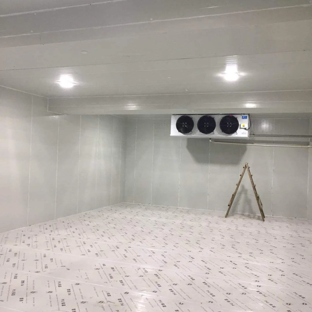 Cold Room for meat and fish Wall in Cold Storage for fruits and vegetables Energy saving Cold room