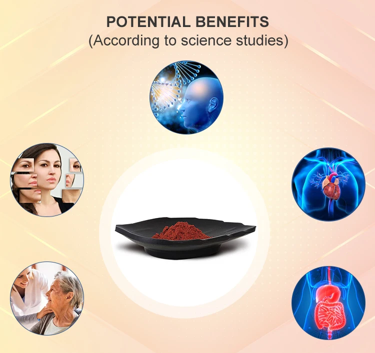 PQQ Disodium Salt Powder Bulk 98% Purity with Best Price