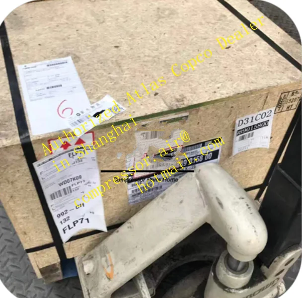 Genuine 1616677070 Atlas Copco with SKF Bearing