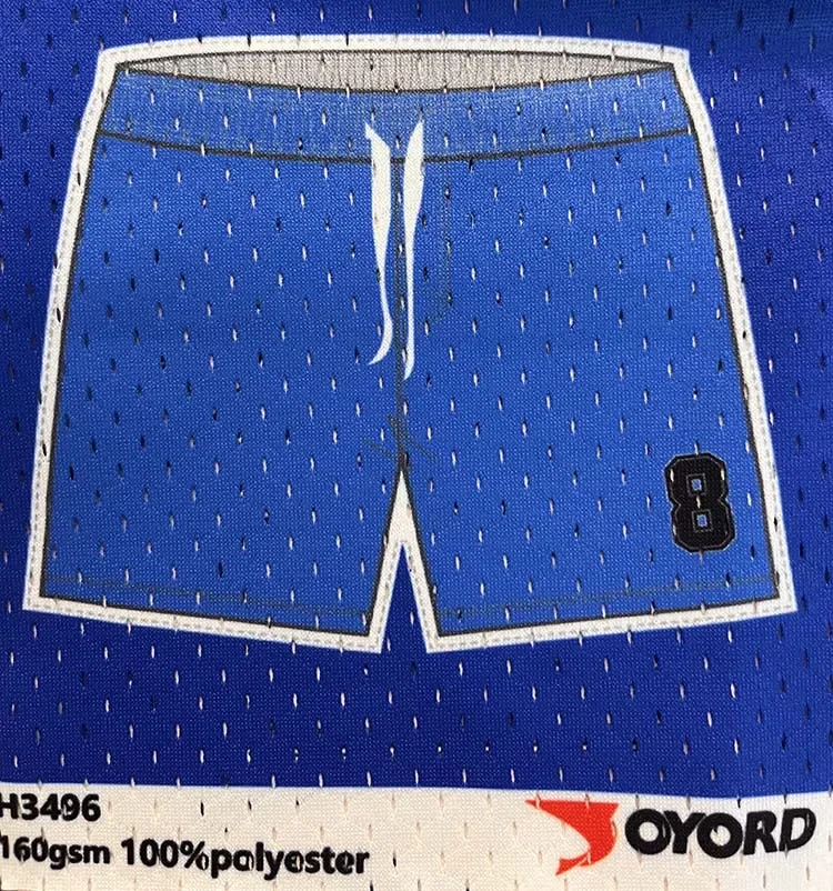 graphic mesh shorts embroidery Pattern Performance Shorts men 2 in 1 beach swimming pants shorts men