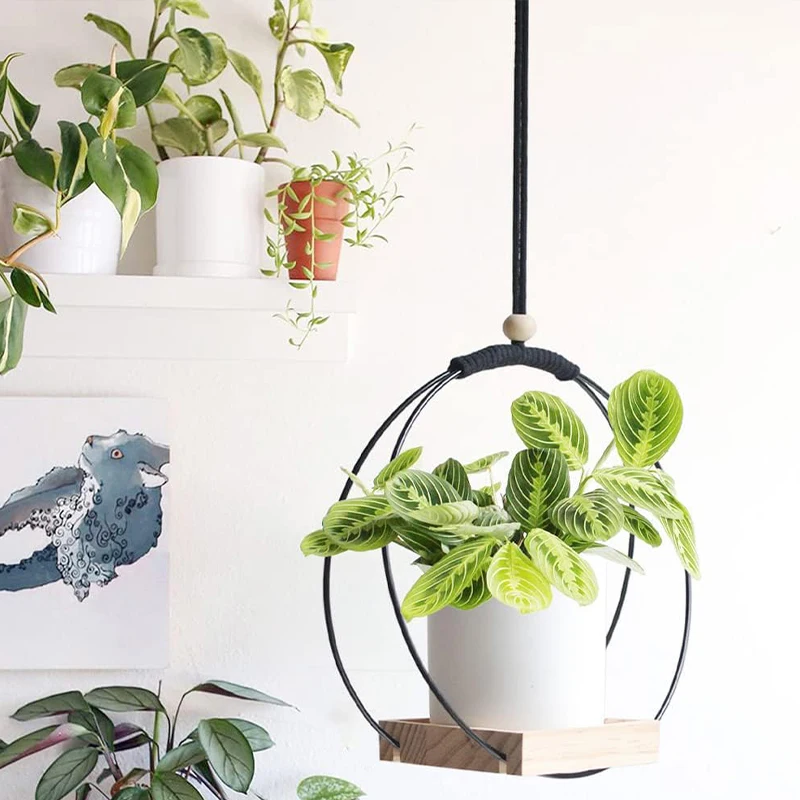 Hot Selling Boho Macrame Hanging Plant Holder For Indoor Plants Plant Hanger With Wood Base