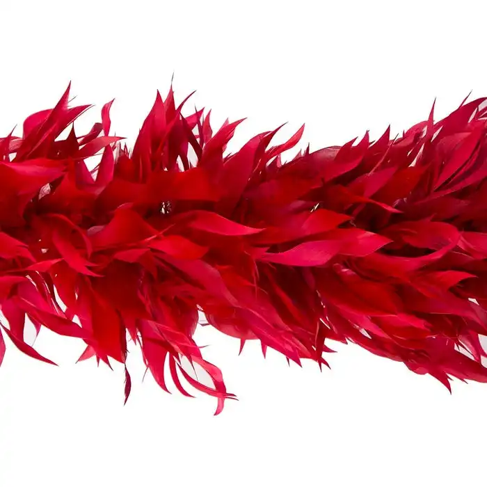 Goose Stripped Nagoire Feather Boa