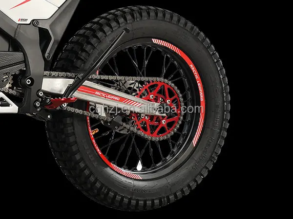 CQHZJ Wholesale Bike Electric Motorcycle Electric Motorcycle Arctic Leopard  Snow Leopard E X 700