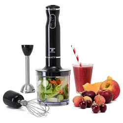Wholesale Kitchen Appliances Performance Manufacturer High Power Electric 5 In 1 Juicer Blender For Price