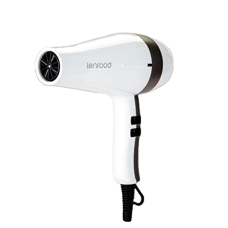 Lenrood LR-3660 Factory Price High Speed Motor 950W Home Use Salon Hair Dryer Hairdressing Tools