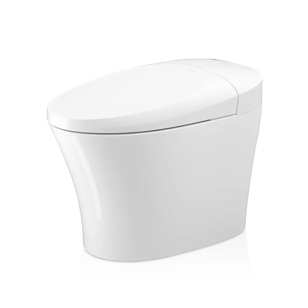 TEJJER Auto flush smart sensor wc toilet bowl with bidet toilet