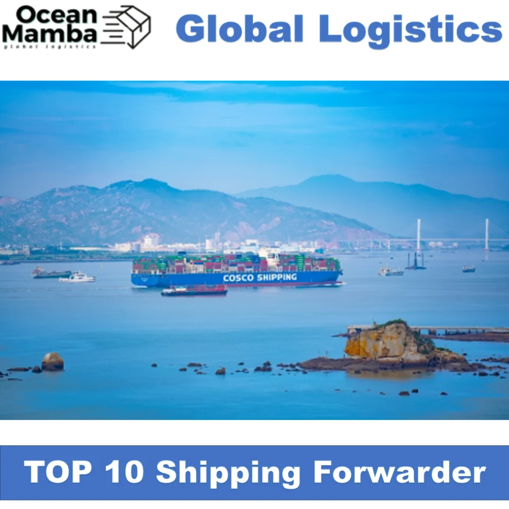 Ocean Mamba Canada Qatar south Africa Poland India shipping agent transporting cheapest international shipping