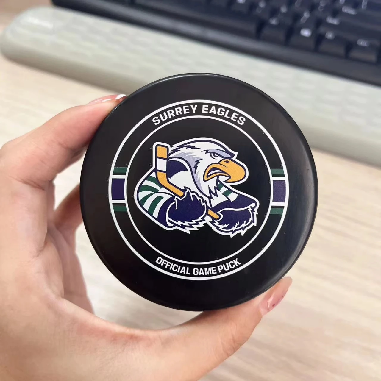 Standard Specification Customized Ice Hockey Rubber Hockey Puck Hard Puck