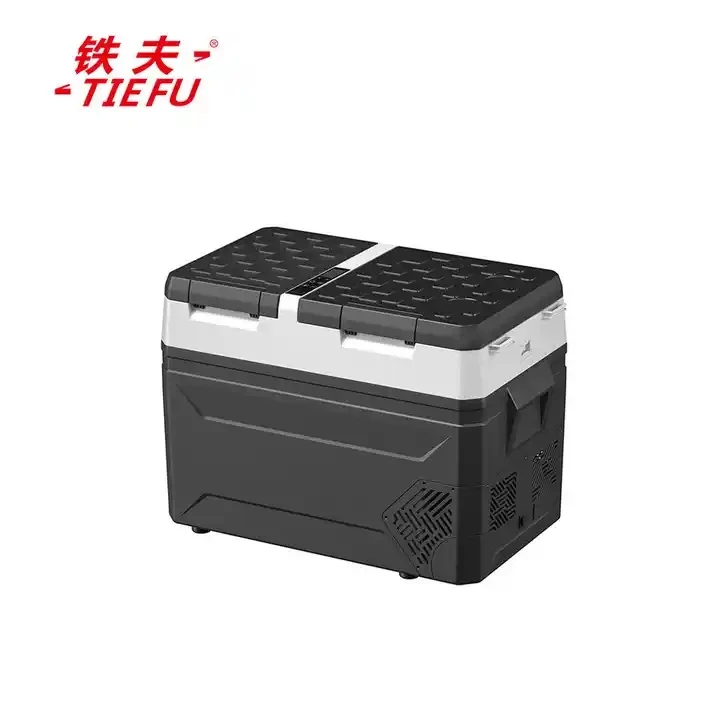 12v Dc Mini Refrigerators Manufacturer Fridges And Deep Freezers Camping Portable Mini Fridge