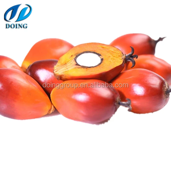 RBD Crude Red Palm Oil crude oil fractionation machine for making palm olein and stearin with high efficiency