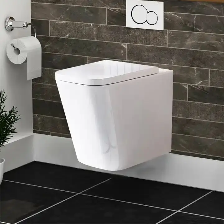 Modern Wc wall toilet cabinet One-Piece Ceramic Floor Flush Toilet P-Trap Drainage for Hotels Australian Lavatories