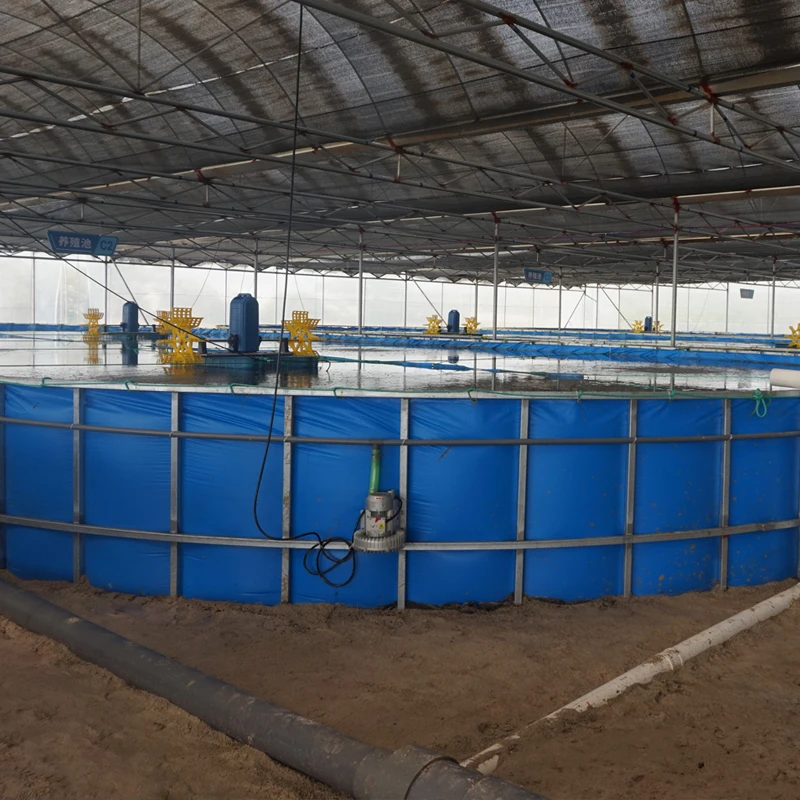 Indoor fish farming ras aquaculture technology fish tilapia fish farming