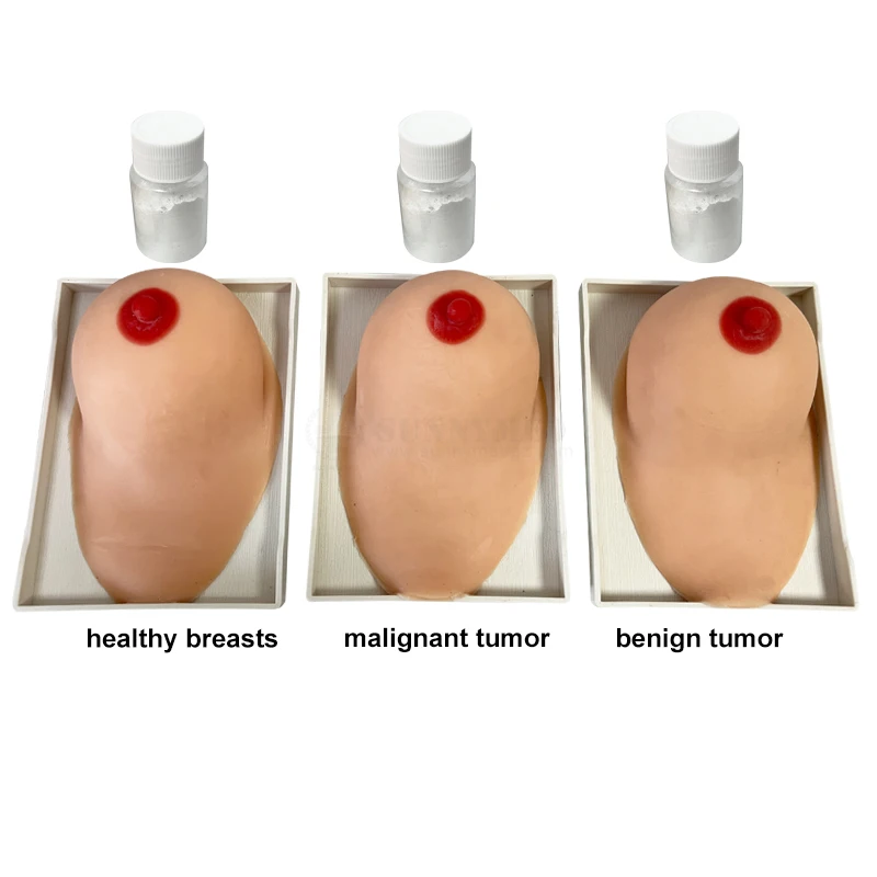 SY-NO7E дешевая модель обследования груди для медицинского образования