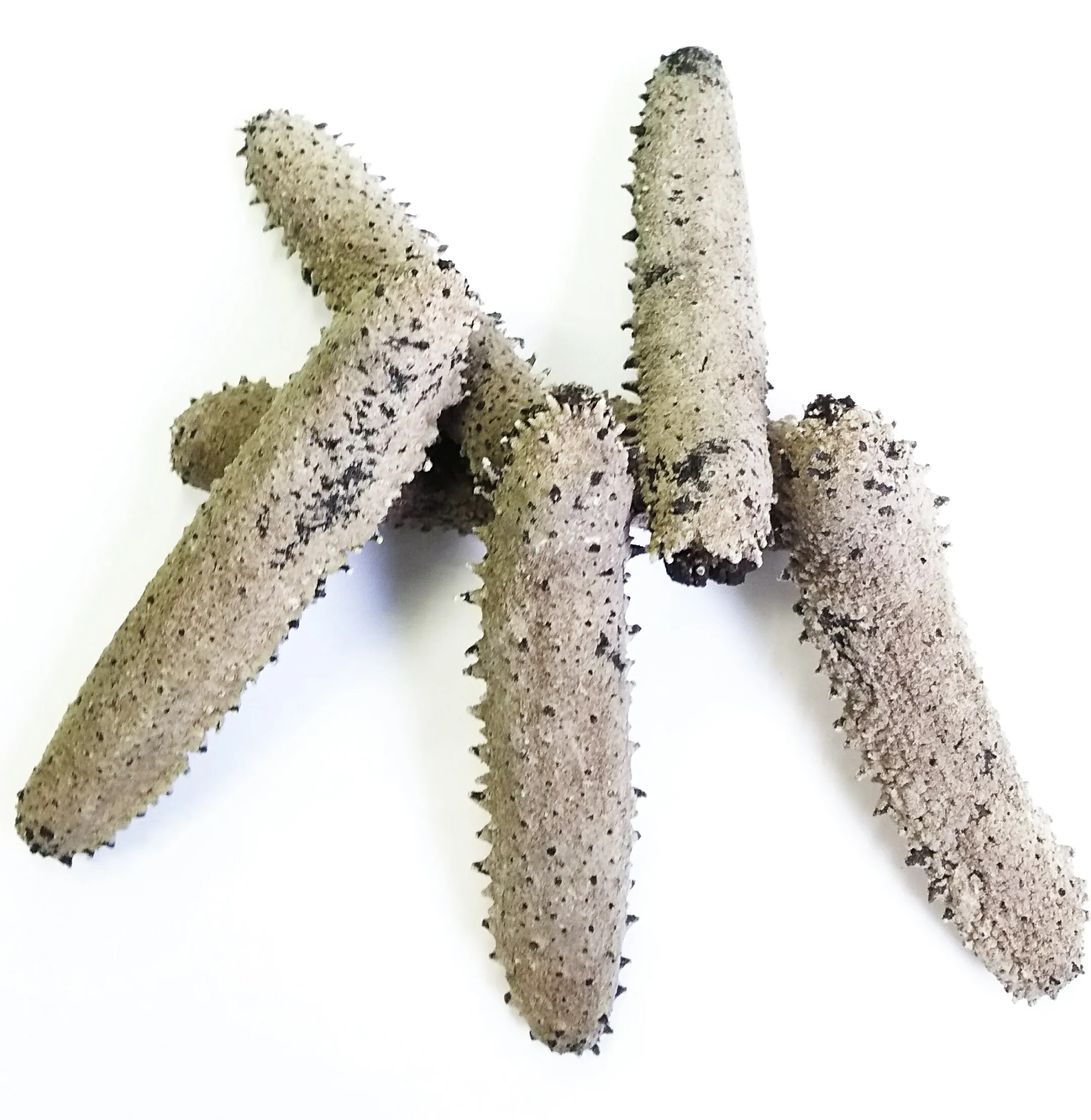 Bulk high quality popular food sea products black dry sea cucumber