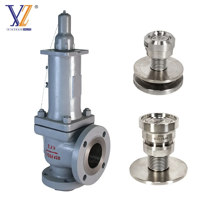 Low Lift Spring Cast Steel Pressure Cooker Flange 150Lb 2J3 Balanced Bellows Safety Valve with OEM Support