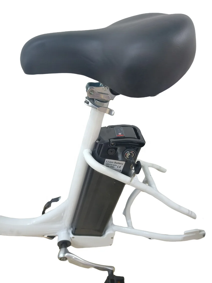 Best Selling 3-Wheel Family Electric Cargo Bike 350W Motor Powered with 48V Lithium Battery  Carrier Position