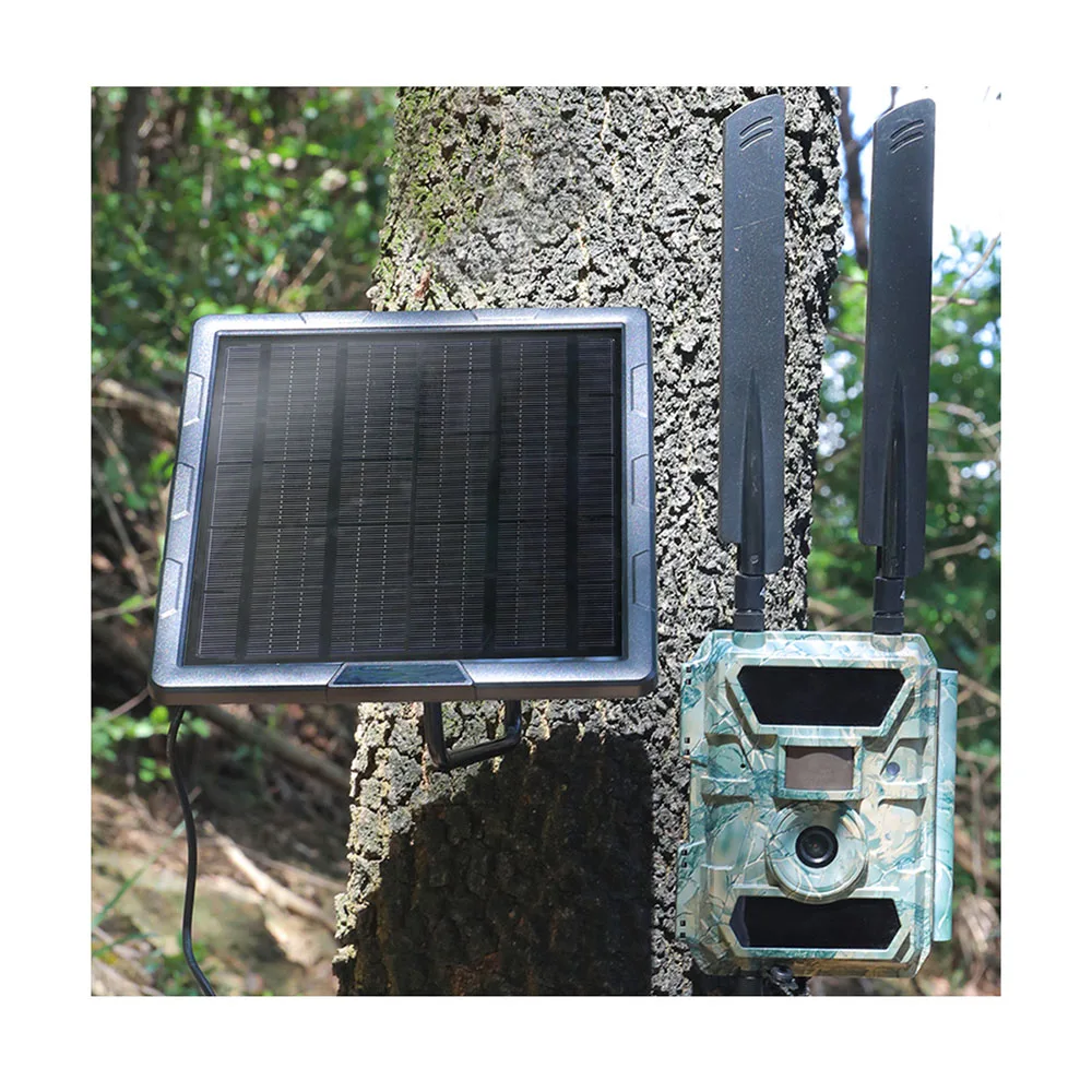 5 Вт 6 В 12 выход 6000 мАч солнечная панель для сотовой связи Wild Game Trail Cameras Встроенная перезаряжаемая батарея Солнечное зарядное устройство комплекты