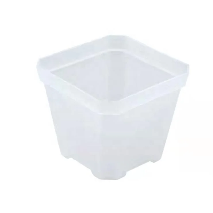 Hot Mini Small Square Shallow Black White Clear Transparent Plastic Plant Nursery Mesh Seedling Succulent Planter Flower Pot