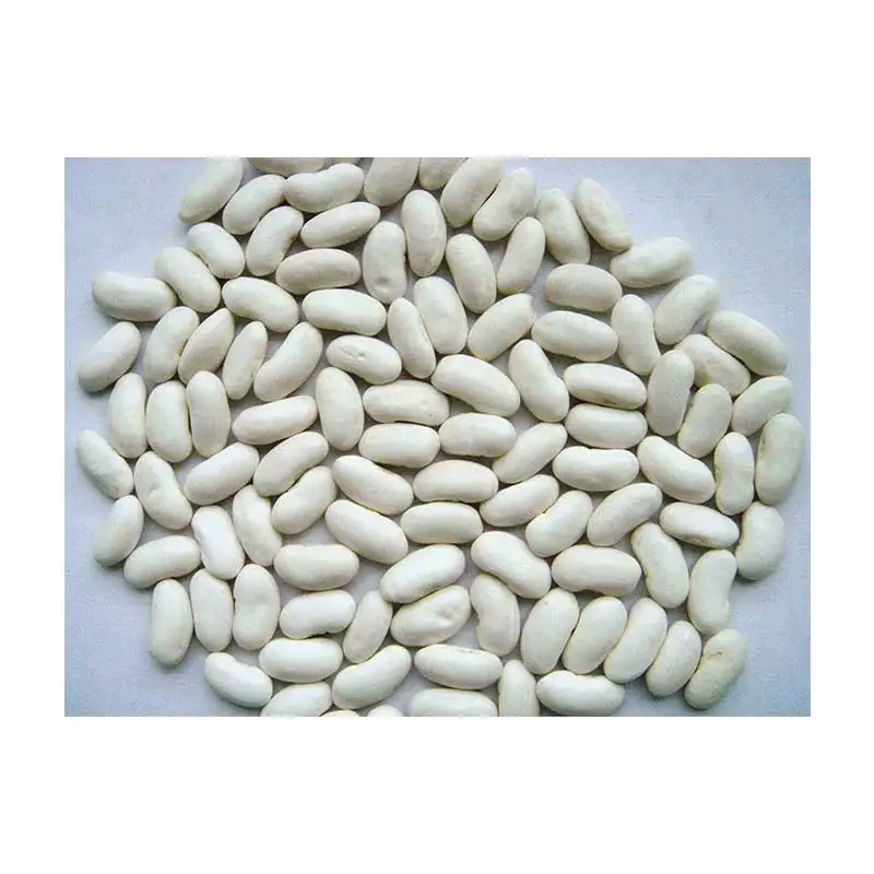 Natural White kidney Beans Seeds