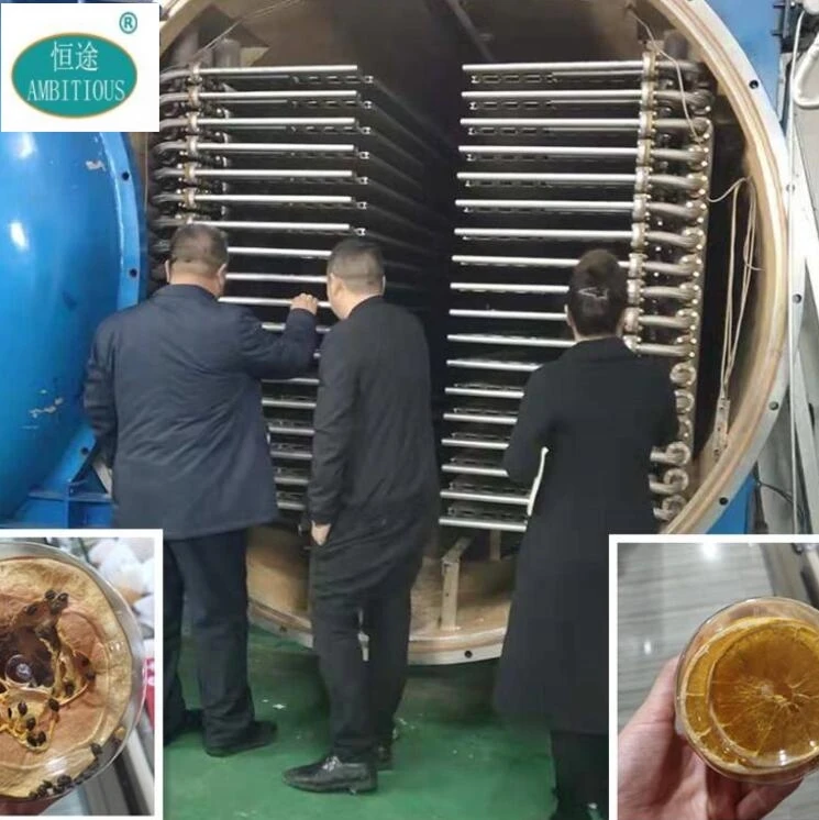 Автоматическая замороженная сушеная еда для домашних животных Вакуумная сушилка лиофилизатор машина PLC Контролируемая емкость 300 кг + сенсорный экран нагревание масла